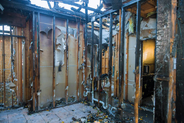 Professional Fire Damage Assessment technician working in Cannon Falls, MN