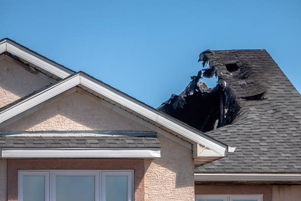 Top rated local Fire Damage Assessment specialists in Cannon Falls, MN